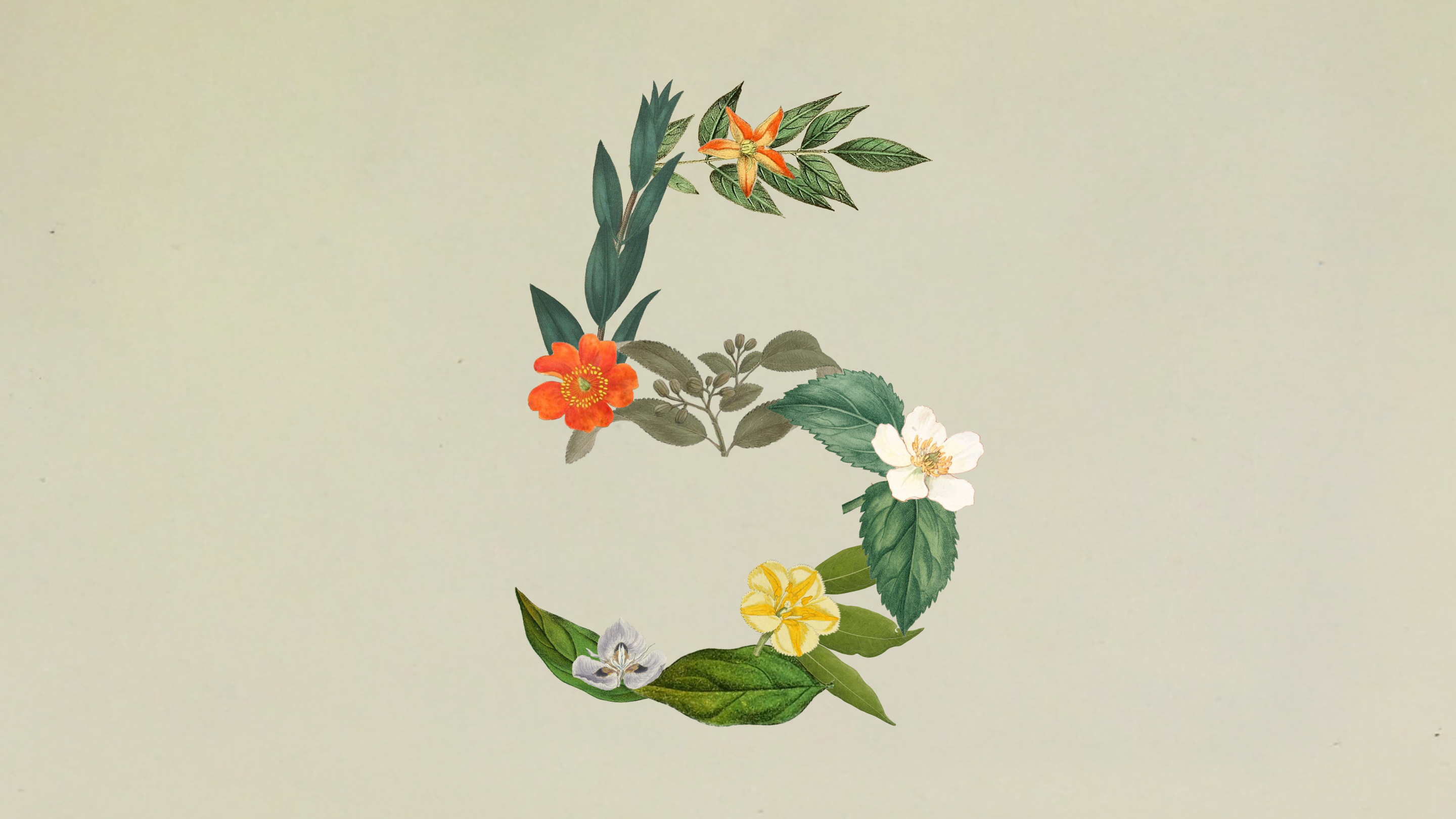 Visuel officiel Anthropic pour le lancement de Claude Sonnet 5